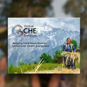 What is the Global CHE Network?